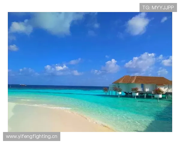 大阪刚在马尔代夫买岛，说是为了“彻底远离网球”